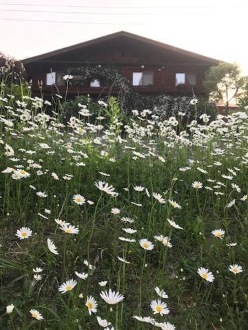 Yamagata Zao Aplon Stage Maison d'hôtes